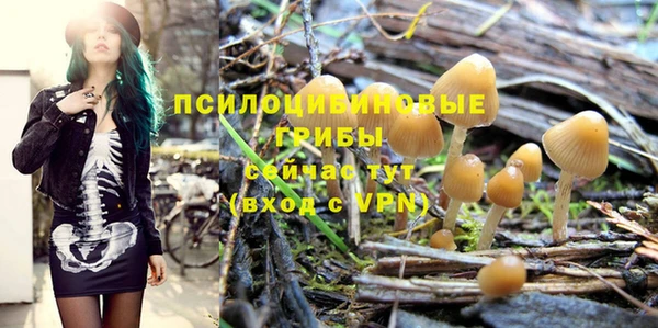 круглые Нягань