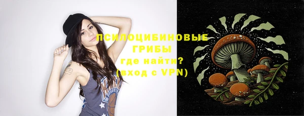 тгк Няндома