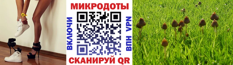 Галлюциногенные грибы ЛСД  где купить наркоту  это формула  Ростов 